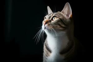 uma gato é olhando acima às alguma coisa dentro a Sombrio generativo ai foto