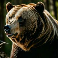 foto do grande Bravo grisalho Urso corrida dentro a selva, generativo ai