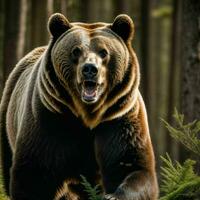 foto do grande Bravo grisalho Urso corrida dentro a selva, generativo ai