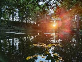 pôr do sol dourado hora com Sol raios dentro parque com lago e reflexão foto