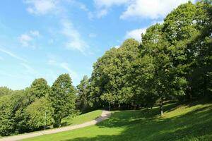lindo parque cena dentro público parque com verde grama, verde árvore plantar e uma nublado azul céu festa foto