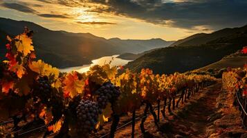 naturezas tela de pintura em chamas com caloroso matizes Como vinhas dentro outono mostruário seus rico colheita convidativo uma festa para a sentidos foto