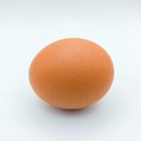 Castanho frango ovo deitado posição isolado em branco fundo foto