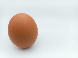 Castanho frango ovo em pé posição isolado em branco fundo com negativo espaço foto