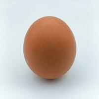 Castanho frango ovo em pé posição isolado em branco fundo foto