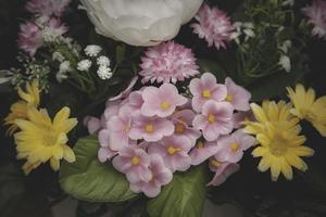 flores vintage coloridas foto