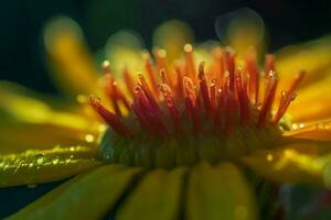 macro tiro flor. gerar ai foto