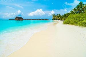 bela ilha das maldivas foto