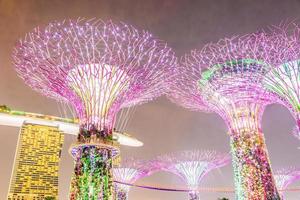 Supertree Grove em Singapura foto