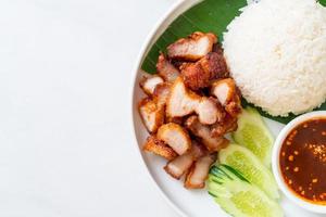 Barriga de porco frita com arroz com molho apimentado em estilo asiático