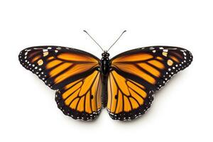 uma lindo monarca borboleta isolado em branco fundo. borboleta. generativo ai foto