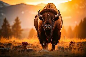 búfalo poderoso símbolos do da natureza majestade, generativo ai foto