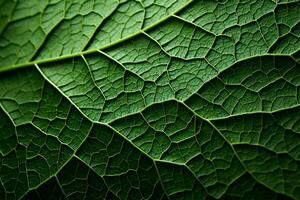 requintado folha texturas crio uma deslumbrante vegetação topo Visão ai gerado foto