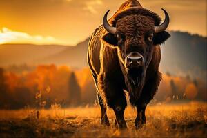 búfalo poderoso símbolos do da natureza majestade, generativo ai foto