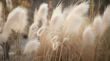 pampas Relva ao ar livre dentro luz pastel cores. seco palhetas boho estilo, generativo ai foto