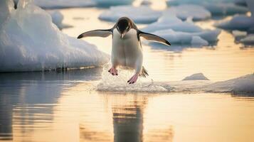 Adelie pinguins saltar para dentro a oceano a partir de a iceberg. generativo ai foto