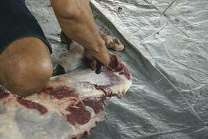 um retrato de muçulmanos cortando carne no eid al adha usando faca de corte foto