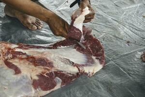 um retrato de muçulmanos cortando carne no eid al adha usando faca de corte foto