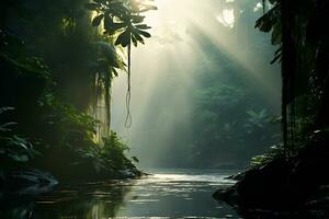 manhã luz solar dentro a floresta tropical foto