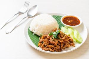 porco grelhado picante com arroz e molho apimentado em estilo asiático foto