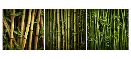 natural bambu hastes fundo foto