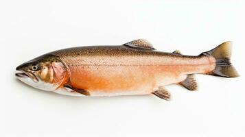 uma salmão peixe isolado em branco fundo. salmão peixe. generativo ai foto