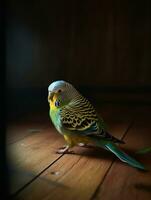 lá é uma pássaro este é sentado em uma de madeira chão. generativo ai. foto