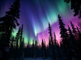 araffes do aurora luzes dentro a céu acima uma floresta. generativo ai. foto