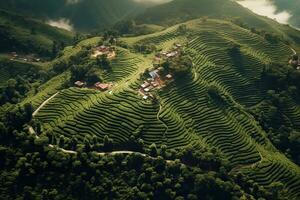 café plantações do sul América com uma Horizonte com montanhas dentro a fundo , generativo ai foto