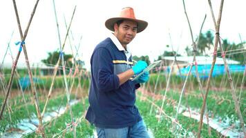 jovem agricultor usando digital tábua Verifica em tomate plantas dentro uma ar livre. foto