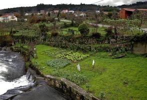 paisagem rural na região da beira em portugal no inverno foto