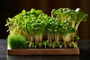 diferente brotos do microgreens Eu estou de madeira bandeja em Sombrio fundo saudável plantar bazed vegano dieta generativo ai foto