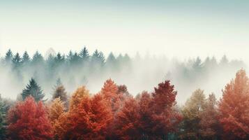 enevoado floresta durante outono com alta árvores e multicolorido folhas, fornecendo amplo cópia de espaço ai generativo foto