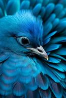 macro foto do uma azul pena Pombo ideal Como uma textura ou fundo