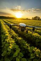 trator pulverização pesticidas em verde soja plantação às pôr do sol capturado a partir de a aéreo perspectiva foto