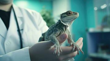 veterinário clínica para exótico animais. lagarto dentro a mãos do uma veterinário. foto