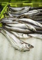 peixeiro de anchovas e sardinhas