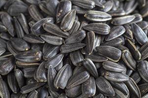 sementes de girassol pretas. para textura ou fundo