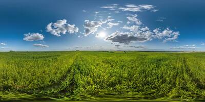 esférico 360 hdri panorama entre verde Relva agricultura campo com nuvens em azul céu com Sol dentro equirretangular desatado projeção, usar Como céu substituição, jogos desenvolvimento Como camarote ou vr conteúdo foto