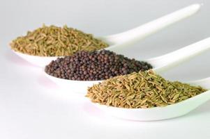 mostarda marrom e sementes de cominho em fundo branco foto