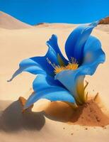 lírio flor azul cor, dentro a deserto ilustração foto