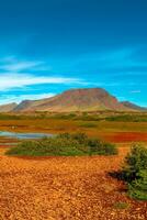 cobrir página com islandês colorida e selvagem panorama com Prado e musgo campo, vulcânico Preto areia e lava às verão com azul céu, Islândia foto