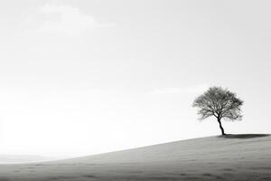 solitário árvore fundição sombras contra rígido branco fundo ai generativo foto