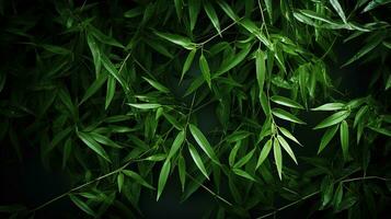 verde floral fundo. gotas do chuva em bambu folhas. foto
