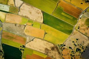 cultivado aéreo Visão Fazenda terra. gerar ai foto