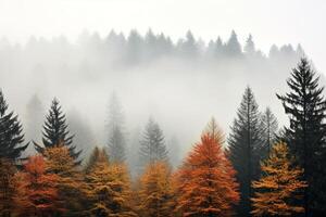 enevoado floresta durante outono com alta árvores e multicolorido folhas, fornecendo amplo cópia de espaço ai generativo foto