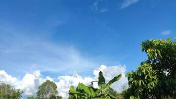 foto do a céu dentro a campo