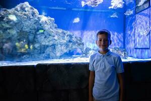 Garoto dentro oceanário. dentro oceano Exibir tanque. foto