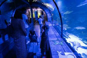 família olhando às peixes e Tubarão dentro oceanário. mãe com crianças desfrutando dentro oceano Exibir tanque. foto