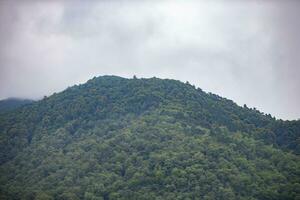 montanhoso área cheio com florestas. foto